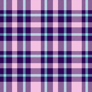 Cute Pink Purple and Blue Grid Plaid for Girls