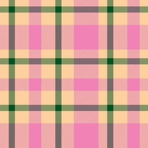 Cute pink and green plaid