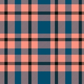 Coral and Blue Plaid