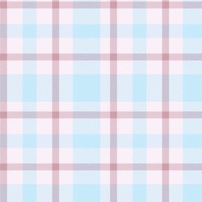 Light Blue and Rose Pink  Plaid