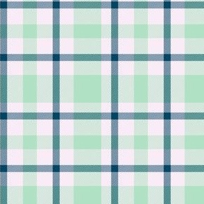 Blue and Green  Plaid