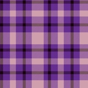 Purple Plaid