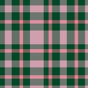 Pink and Green Plaid Check
