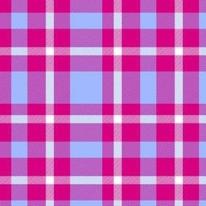 Light Blue and Bright pink plaid