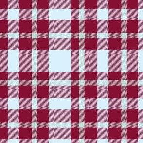 Light blue and red plaid