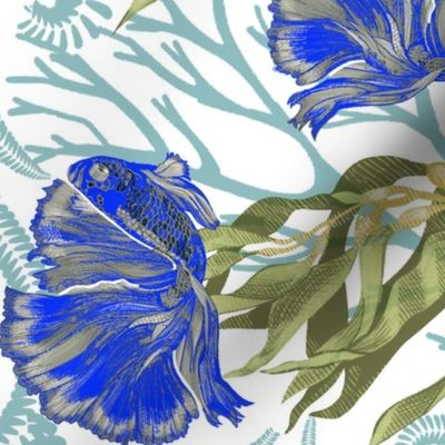 Bright blue beta fish with green sea weeds plants and blue corals on white background