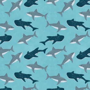 Sharks on Blue, Shark Pattern, Shark Wallpaper Background, Aquatic Animals, Summer, Beach, Sea Ocean, Boys Room, Boy Summer