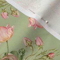 Exquisite Marie Antoinette Inspired Geometric Nostalgic Rose And Tulip Flower Tendrils Garden: Antique Geometrical Floral Springflowers And Butterflies, Vintage Wallpaper sepia spring green