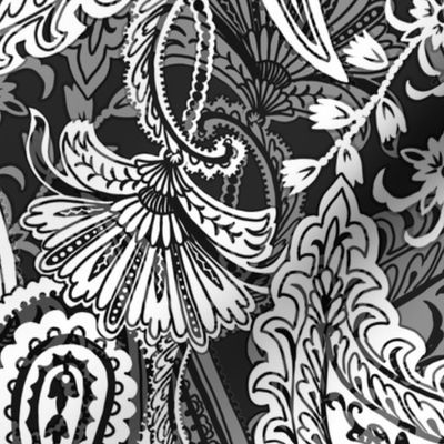 Black and White Paisley