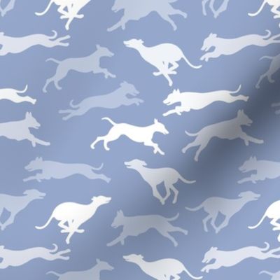 Small // Greyhounds Amok on Muted Blue