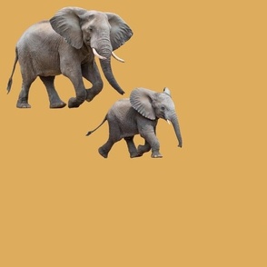 elephants on gold