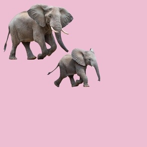 elephants, momma and baby, on pink