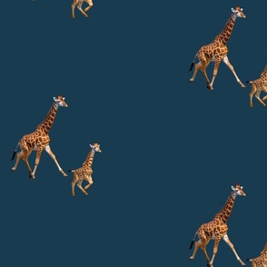 giraffes running on dark blue