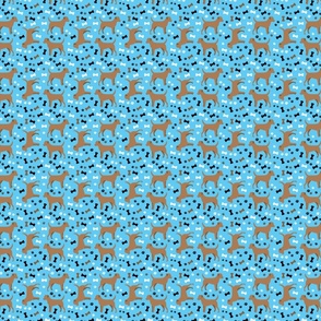 Light Tan Patterdale Terriers - Blue Background - Small Scale