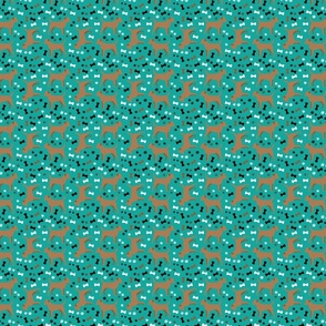 Light Tan Patterdale Terriers - Teal Background - Small Scale 