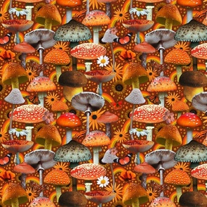 Mushroom Collage Print in Orange