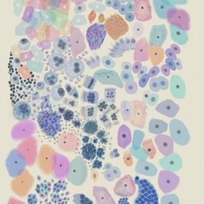 cells cytology pathology - LARGE prints