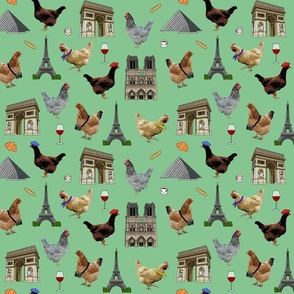 poultry in paris green medium