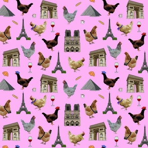 poultry in paris light pink medium