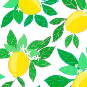 Botanical Design | Lemons 