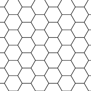 white and black hexagon tiles