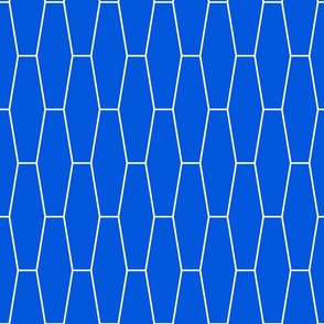classic blue and white long hexagon tiles