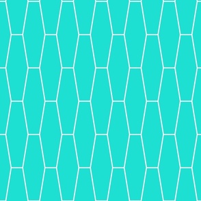 aqua and white long hexagon tiles