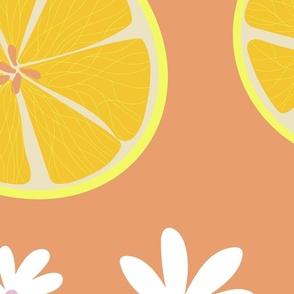 Lemon Fresh_Coordinate_Peach_Big