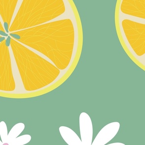 Lemon Fresh_Coordinate_Green_Big