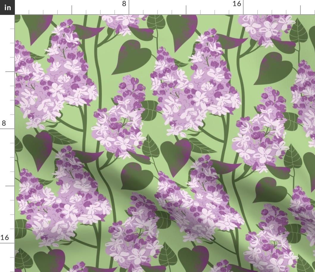 spring bloom, lilac bush