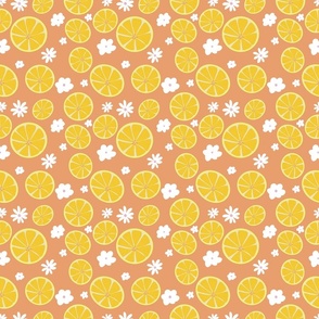 Lemon Fresh_Coordinate_Peach_Small