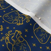 Anatomical Hearts and Stars Gold on Navy Blue and Yellow