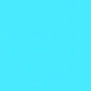 Neon Aqua Blue Coordinate Color - Vibrant Shades Collection / Large