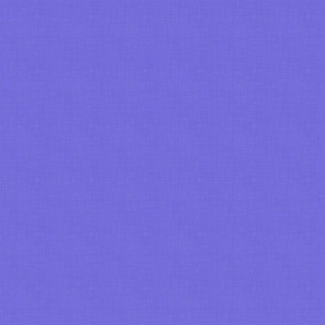 Bright Lavender Coordinate Color - Vibrant Shades Collection / Large