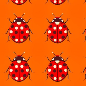 ladybugs in rows orange background L
