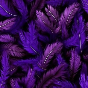 black purple feathers
