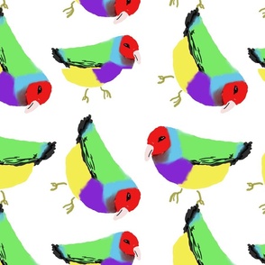 Party Birds! Hand-Painted  Brightly Colored on White Background