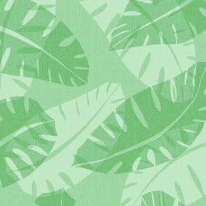 tropical_leaf_green_9bd5a2