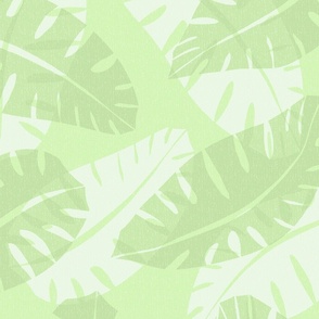 tropical_leaf_light-green_d4f6b5