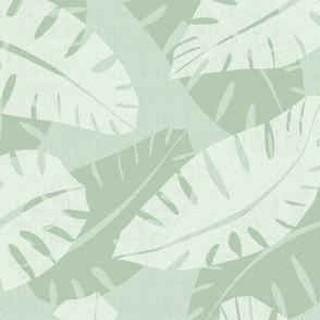 tropical_leaf_pastel-green_cee0cd