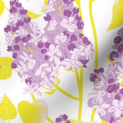 spring bloom, lilac bush