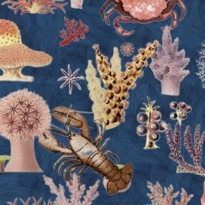 Crustacean Reef (blue)