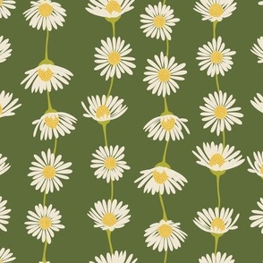 (M) Daisy Chain - sweet summer daisies stripe - grass green