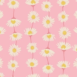 (M) Daisy Chain - sweet summer daisies stripe - pale pink