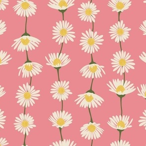 (M) Daisy Chain - sweet summer daisies stripe - juicy pink