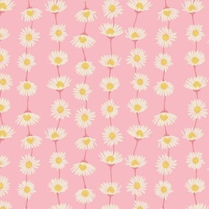 (S) Daisy Chain - sweet summer daisies stripe - pale pink