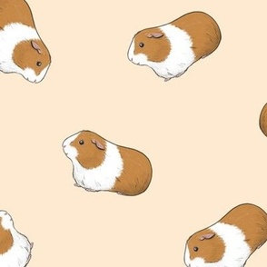 Dutch Guinea Pigs on almond - medium scale