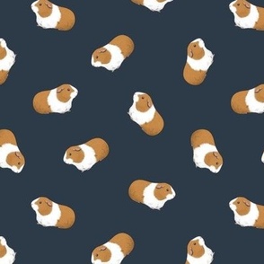 Dutch Guinea Pigs on dark navy grey - small scale