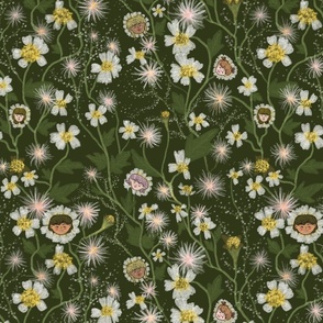 wilddaisy flowers pattern
