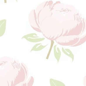 Sweet Soft Pink and Green Peony Peonies - Large Scale